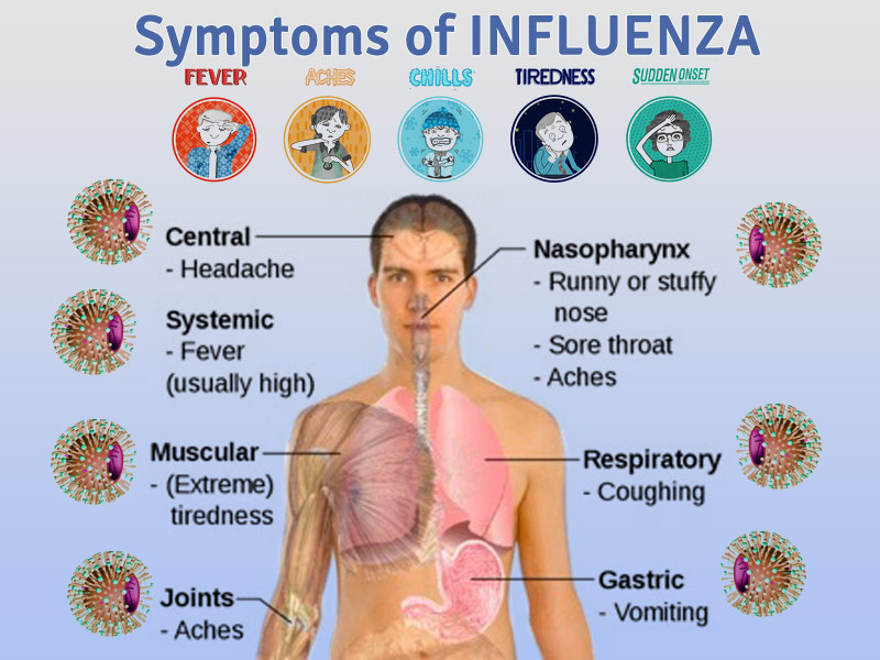 What causes the flu and how do we treat it? All about flu symptoms