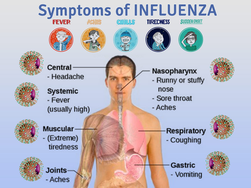 Recent Flu Symptoms 2024 Shara Delphine