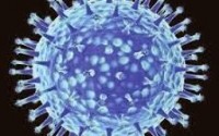 Types of Flu Virus