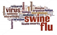 who is at risk from h1n1 swine flu