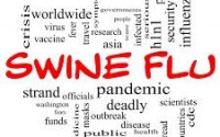 Swine flu H1N1 pandemic