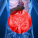 bacterial gastroenteritis